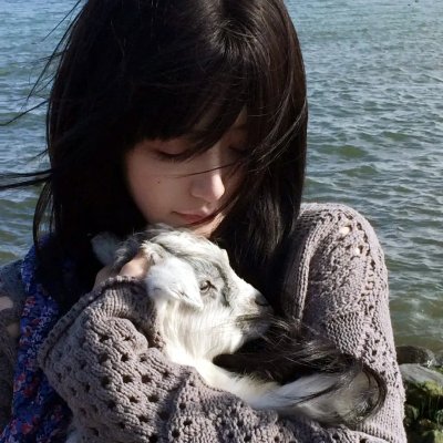 莲花楼海报